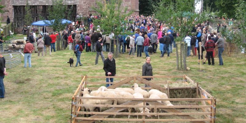 7. Schäfer- und Hutefest in Amelungsborn am 08. September