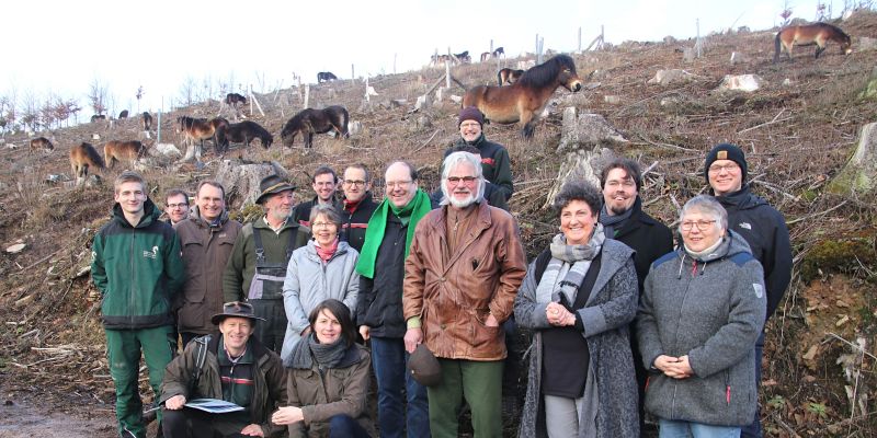 Grüner Fraktionsvorstand zu Gast bei den Exmoorponys im Naturpark Solling-Vogler - Anja Piel: „Weideprämie für den Naturschutz“