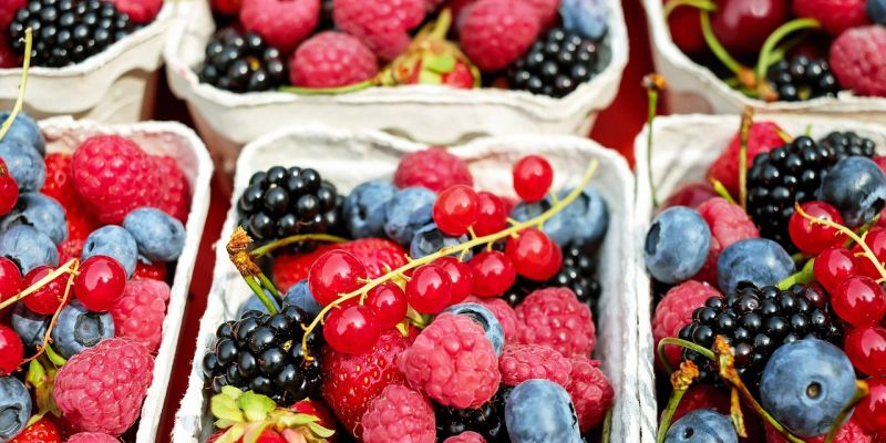 Tag der gesunden Ernährung: Obst statt Quetschies  - Verbraucherzentrale kritisiert Ernährungsbildung der Hersteller