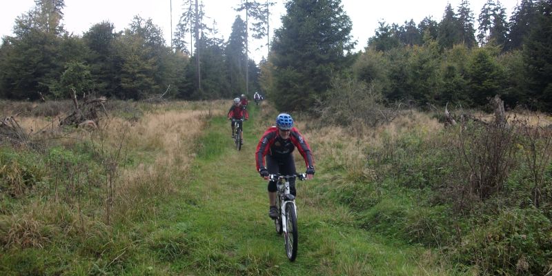 Geführte Mountainbike Tour durch den Solling - Mit dem Mountainbike durch den frühlingshaften Solling
