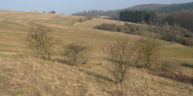 Unterlagen zur Neuverordnung von Flächen als Naturschutzgebiete liegen zur Einsicht aus