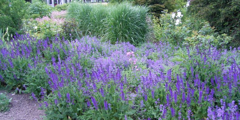 Leichter leben im Garten - Abendkurs der Kreisvolkshochschule Holzminden