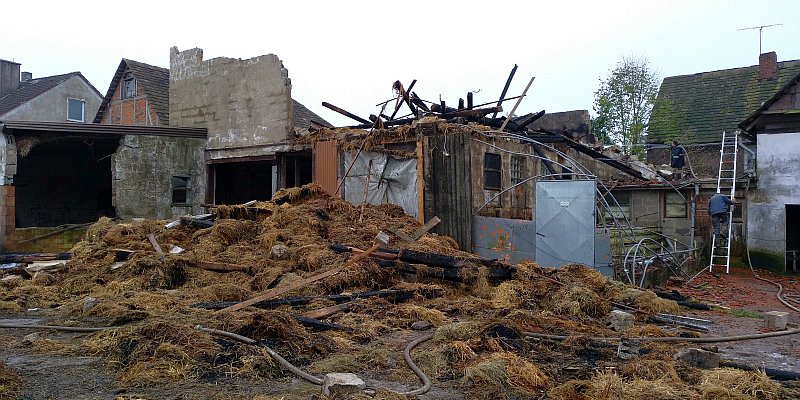 Großbrand in Arholzen: 31 Ferkel verendet, Ursache noch unklar [mit Bilderstrecke]