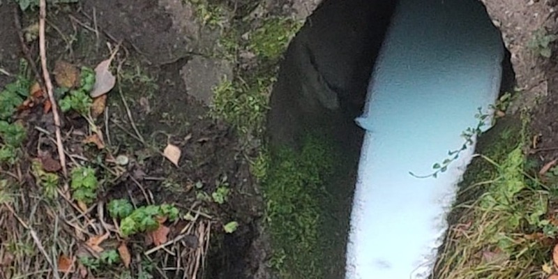 Zeugenaufruf: Gewässerverunreinigung in Hamelspringe  