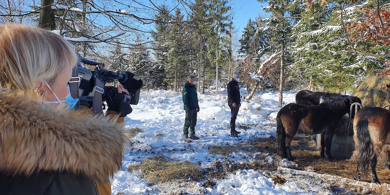 Filmteam im Hutewald: Bingo Projekt gelungen