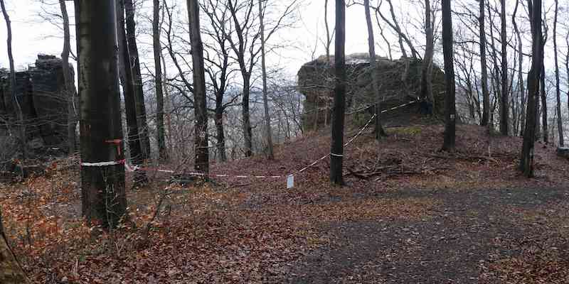 Beginn der Brutsaison von Uhu und Wanderfalke - Temporäre Sperrungen der Felsen am Ith