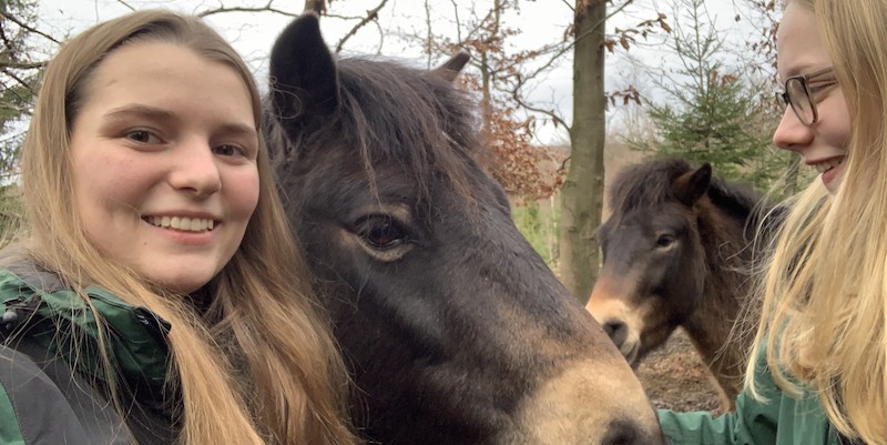 Bundesfreiwilligendienst im Naturpark Solling-Vogler