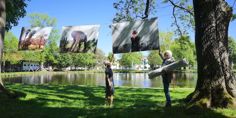 Neues aus der „Park Side Gallery“ - Fotografien von Tuğba Şimşek