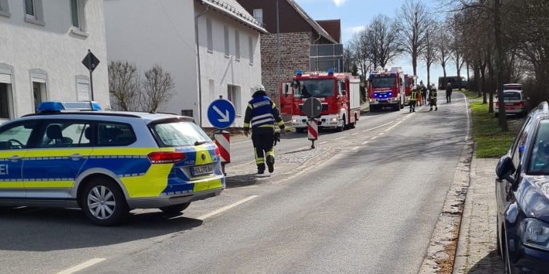 Hund in Sicherheit gebracht: Großeinsatz wegen angebranntem Essen