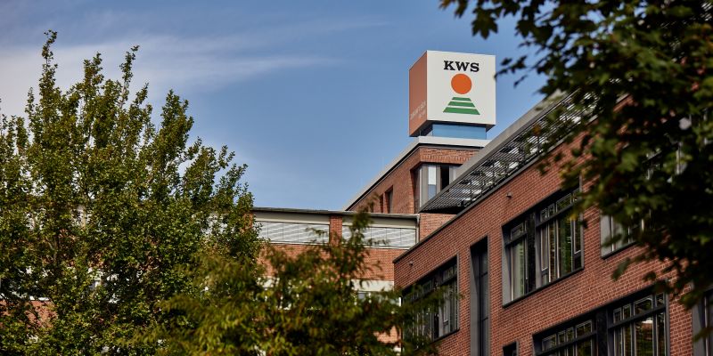 KWS erwirbt Züchtungsunternehmen für Tomaten