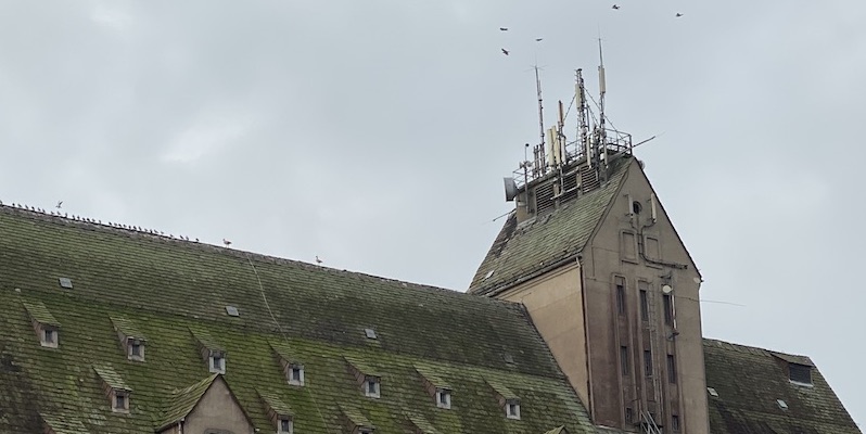 Funkprobleme: Weihnachtsbaum auf Holzmindener Silo leuchtet ab heute