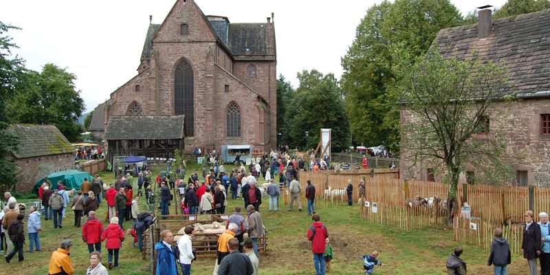 Schäfer- und Hutefest: Landwirtschaftsminister Christian Meyer und Landrätin Angela Schürzeberg übernehmen offizielle Eröffnung