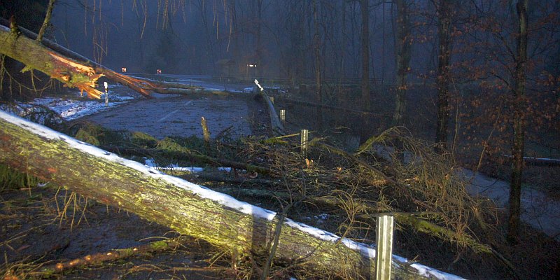 Vereinzelte Kreisstraßen wegen Sturmschäden weiterhin gesperrt